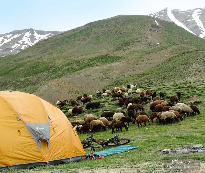 Iran Mountain Biking Tours camping