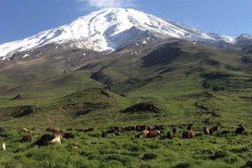 Damavand Mountain Iran