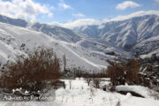 Winter Holiday tour in Shemshak Iran