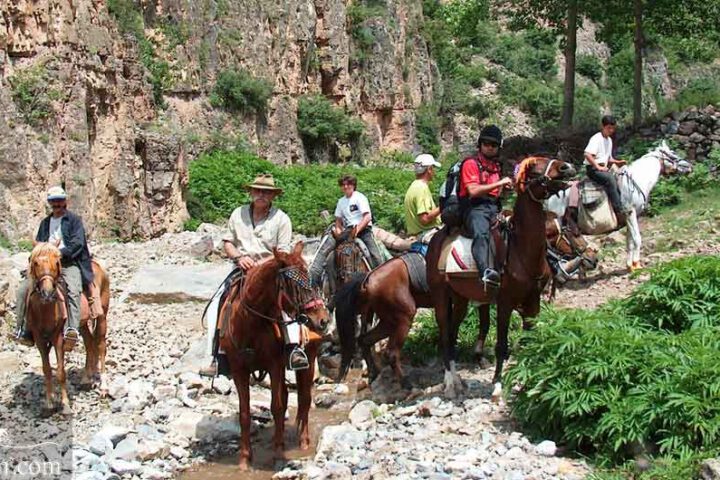 Horse Riding Iran Tours