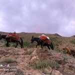 Iran Mountain Tour