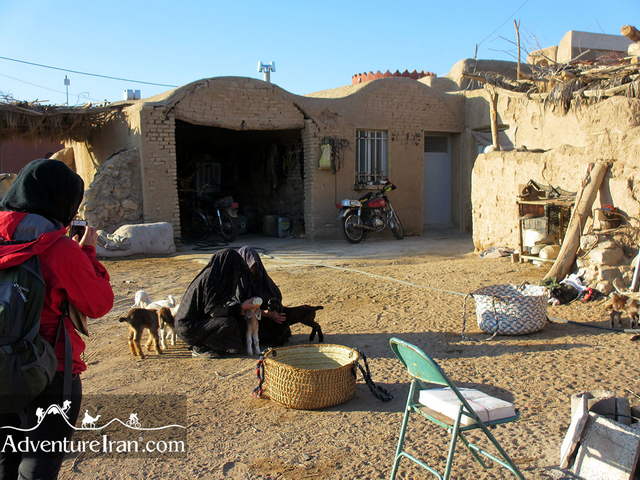 Farahzad-Oasis-khur-biabanak-dasht-e-kavir-desert-Iran-Touristic-Village