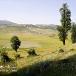 Jahan Nama National park Golestan Province