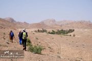 Desert Trekking in Dasht-e Kavir