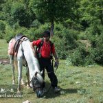 Horseback Riding Kandelus village caspian sea Iran