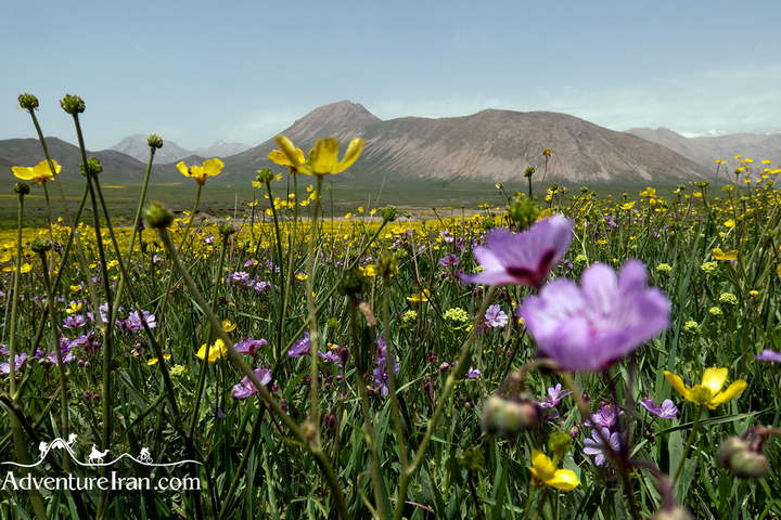 Lar-national-park-Iran-Protected-Area