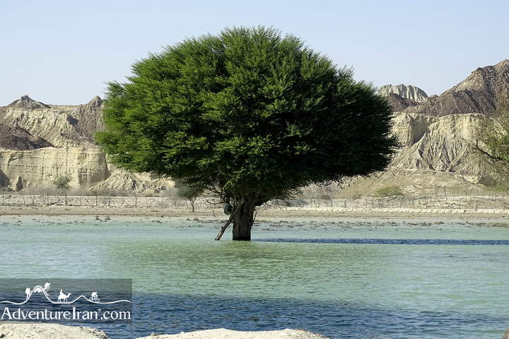 Landscape photo of Balochistan Iran