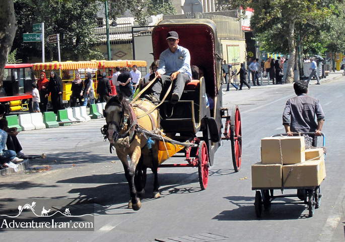 Tehran bazaar - horse