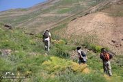 Tehran group hiking tour in Darbandsar
