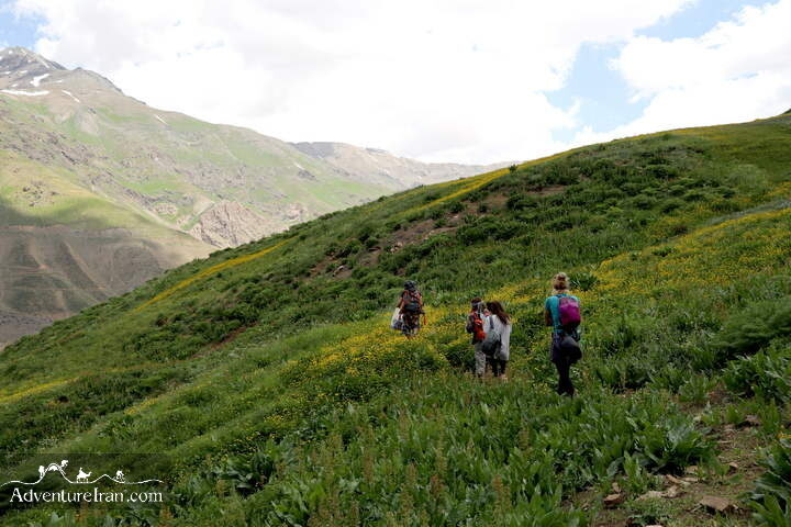 Iran Hiking Alborz Mountain