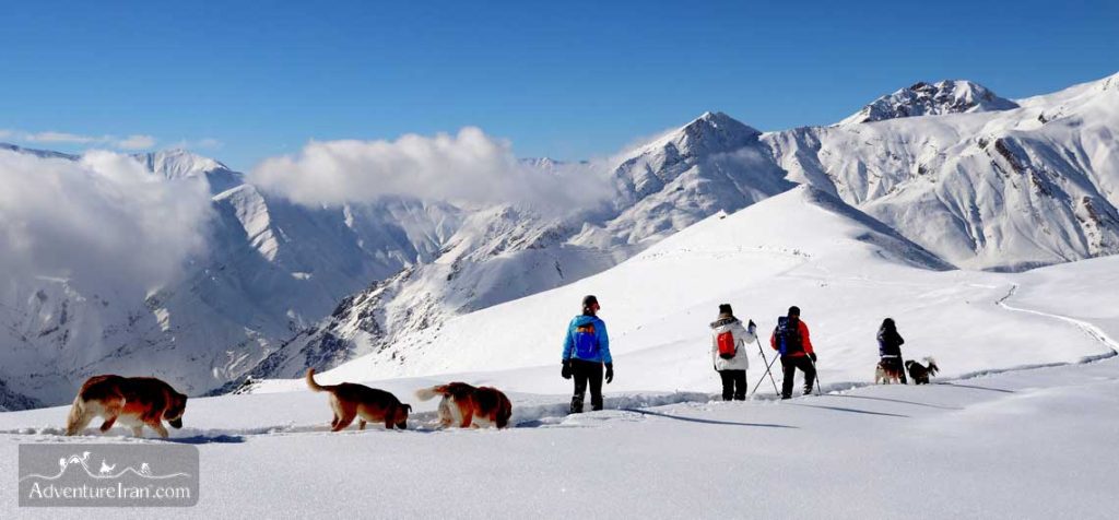 Shemshak north Tehran winter trekking