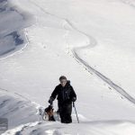 Shemshak Winter Trekking Tour Iran