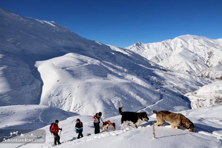 Shemshak Winter Trekking Tour Iran