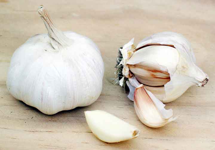 Garlic-Seer-Haft-Sin-Nowruz-Persian-New-Year