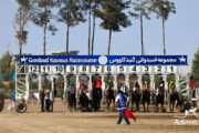 Horse Racing in Turkman Sahra-Travel-Iran