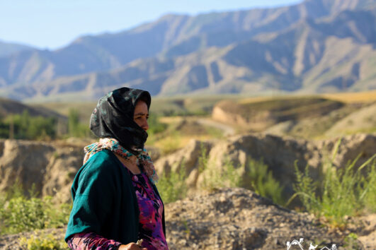 Turkmen Sahra-Golestan-Province-Iran Tour