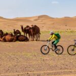 Dasht-e Kavir Desert Cycling Iran