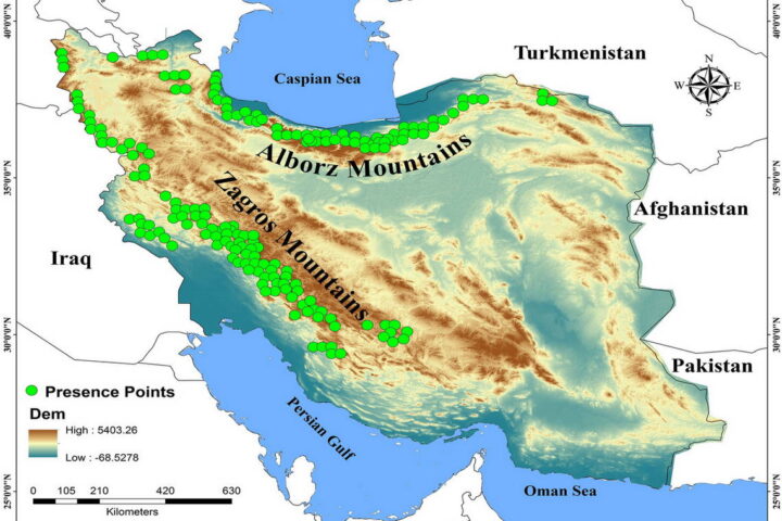 Alborz-Zagros Mountain Range Topography Map-Iran