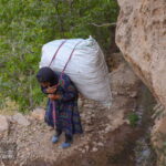 Bakhtiari Nomad Lady - Sar-e Agha Seid Village