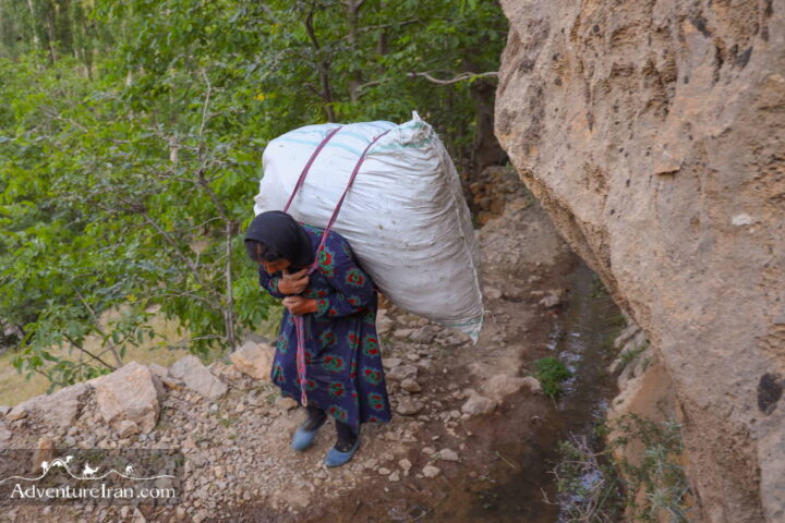 Bakhtiari Nomad Lady - Sar-e Agha Seid Village