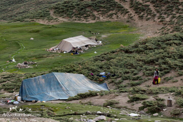 Bakhtiari Nomadic Camp in Zardkuh Mountains