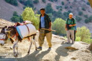Bakhtiari nomadic Tours in iran