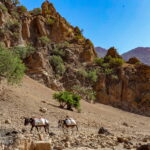 Bakhtiari nomadic trekking tour in Iran-Zagros Mountains