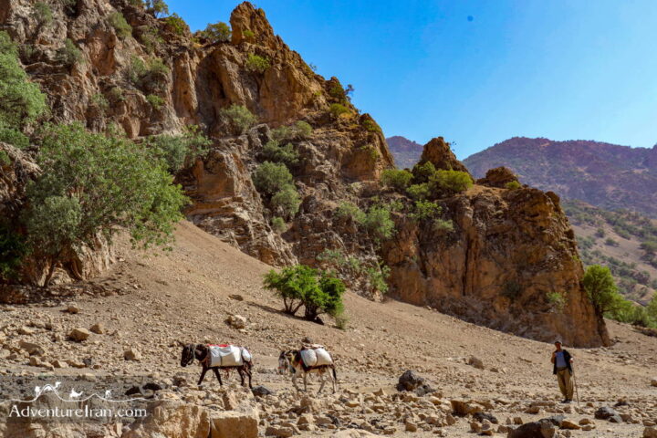 Bakhtiari nomadic trekking tour in Iran-Zagros Mountains