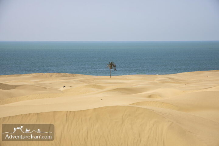 Darak Beach-Desert Sea meeting point-Iranian Baluchistan