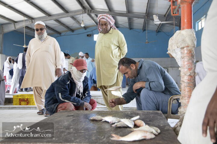 Fisher Man in Beris Port- Iranian Baloochistan