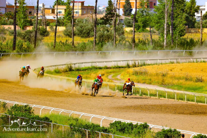 Gonbad Horse Race-Golestan