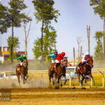 Gonbad Kavos Horse Race