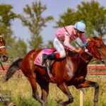 Horse Race in Gonbad