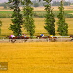 Horse Racing in Gonbad Kavos Race Course