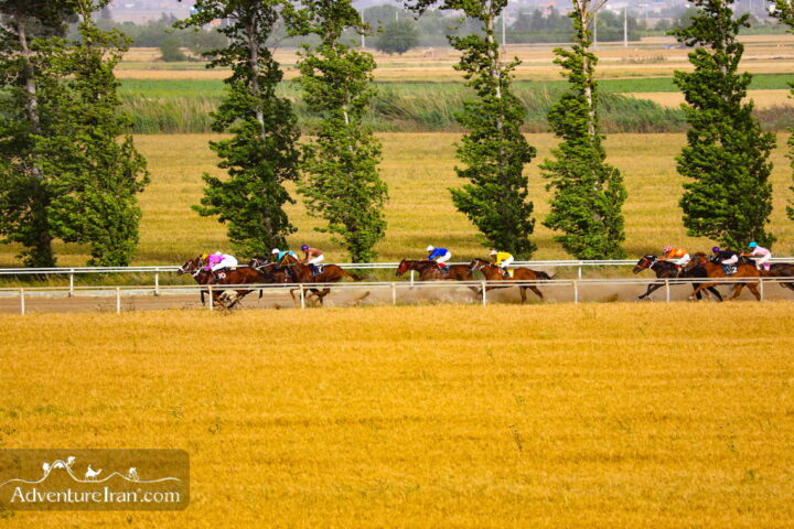 Horse Racing in Gonbad Kavos Race Course