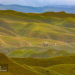 Landscape Photography IRAN Turkmen Plain