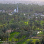Qasreqand - A palm grove- landscape Photography - Sistan Baluchistan - IRAN