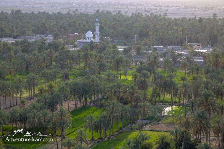 Qasreqand - A palm grove- landscape Photography - Sistan Baluchistan - IRAN