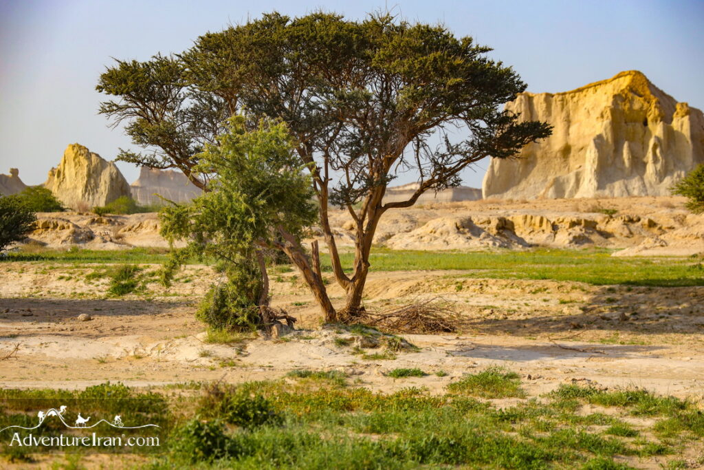 Qeshm Iran Landscape Photography