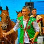 Turkmen horse