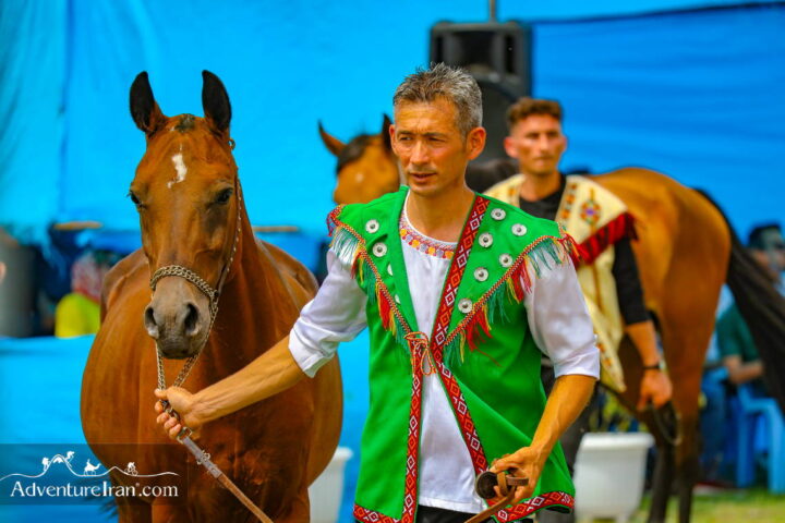 Turkmen horse