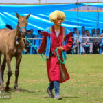 Turkmen horse race-Golestan Province