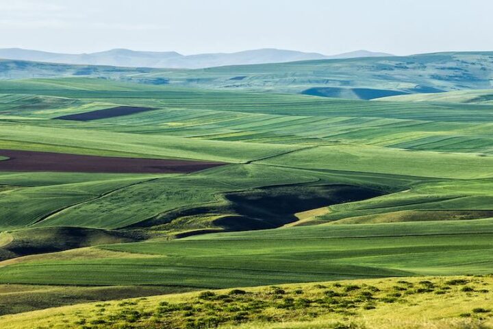 Mughan Plain